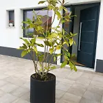 Casa Pátio Casa vacanze Enxara do Bispo