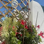 Casa Patio *