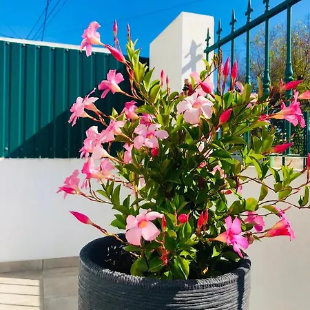 Casa Patio *