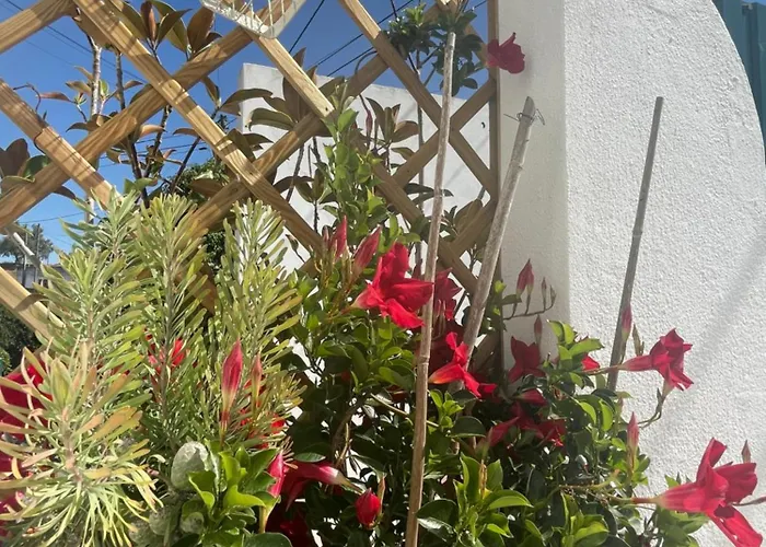 Casa Patio *