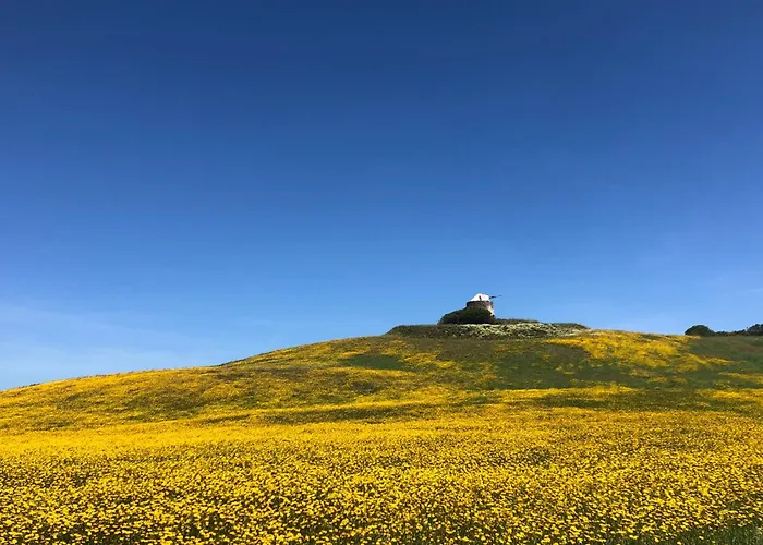 Semesterbostad Casa Patio