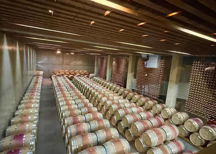 Semesterbostad Casa Patio